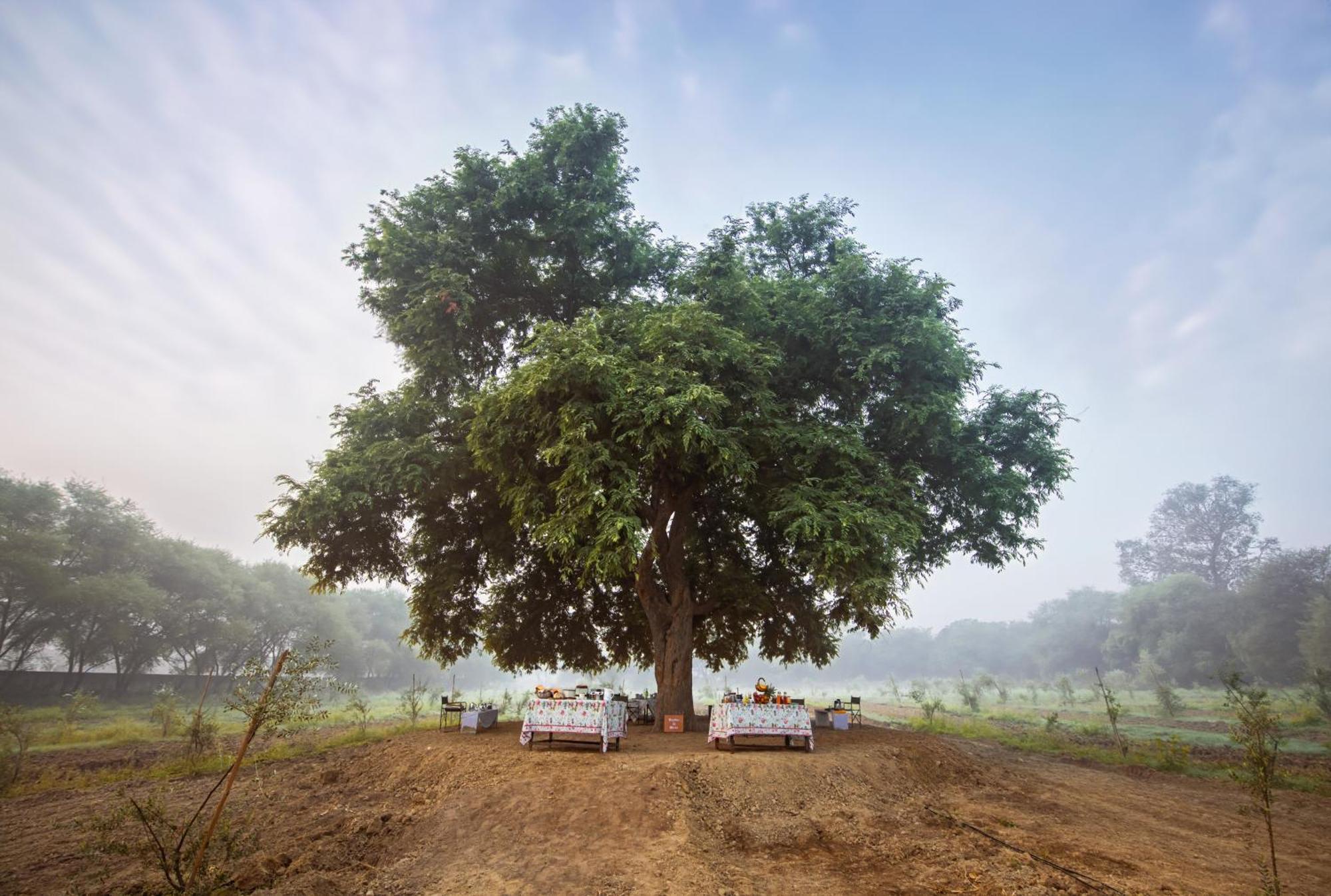 Mela Kothi - The Chambal Safari Lodge Bāh Екстериор снимка