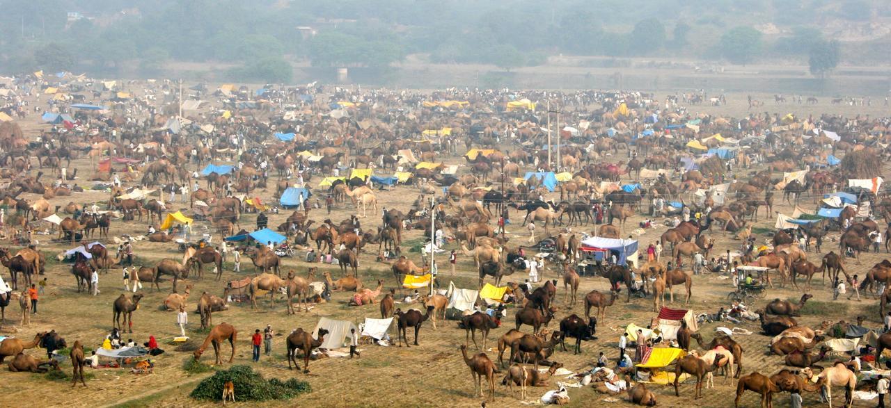Mela Kothi - The Chambal Safari Lodge Bāh Екстериор снимка